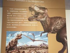 -安徽省地质博物馆