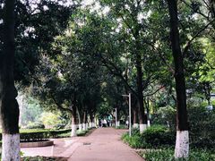 -紫马岭公园