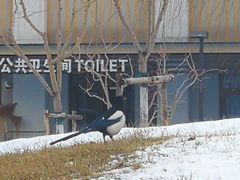 -东升文体公园
