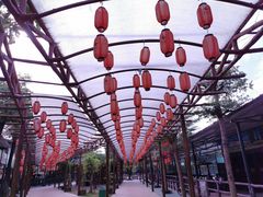 -揭东万竹园旅游景区