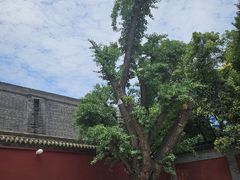 -西安市广仁寺