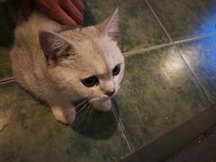 -南京夫子庙国际青年旅舍(平江府路店)