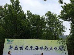 -东海大峡谷