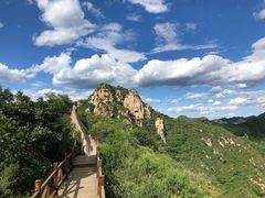 -大岭沟猕猴桃谷风景区