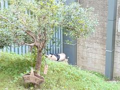 -黔灵山公园