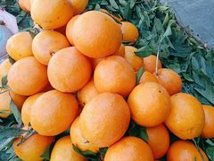 -宋记冕宁土菜馆(海门渔村二店)