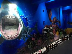 -船奇蒸汽海鲜·闽菜(八市海鲜总店)