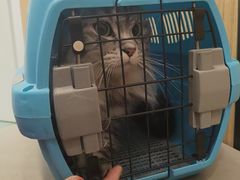 -瑞派·关忠动物医院·猫专科·犬专科(三环新城店)