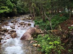-姑婆山旅游区