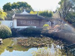 -上海醉白池公园