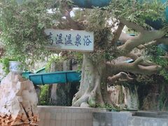 -龙脉温泉室内游泳馆