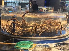 -上和臻品中国菜(花园街店)