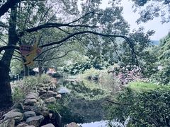 -九龙潭景区