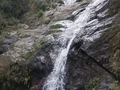 -东天目山风景区