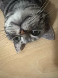 -风生造型
