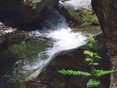 -溪口-滕头旅游景区