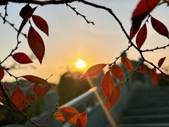 -八大山人梅湖景区
