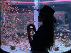 -海合安成都极地海洋公园