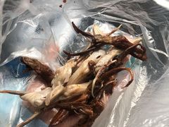 -达记卤菜店(红庙店)