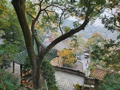 -华清宫景区