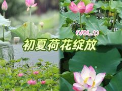 -新江湾城公园