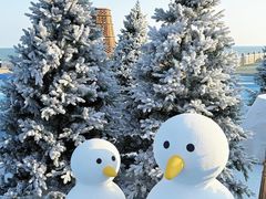 -汕头中海黄金海岸水上乐园