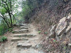 -羚羊峡古栈道森林公园