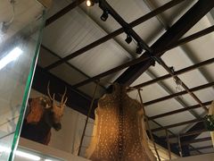 -优游吧斯邹族文化部落