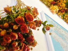 -春风十里咖啡馆