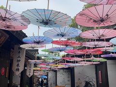 -天目湖山水园