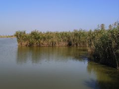 -盐城丹顶鹤湿地生态旅游区