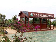 电瓶车收费站-涠洲岛-圣母堂