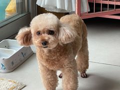-创凡宠物医院·骨专科  猫科中心(西乡分院)