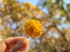 -共青国家森林公园-售票处