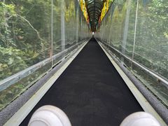 -七仙岭温泉国家森林公园