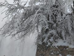 -瓦屋山景区