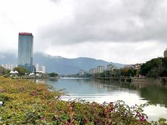 -光明港公园