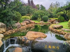 -诗经里
