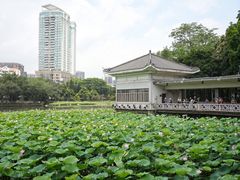 -荔湾湖公园