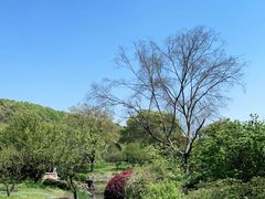 -无锡梅园公园