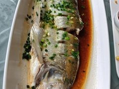 -樟树底(胜利河美食街店)