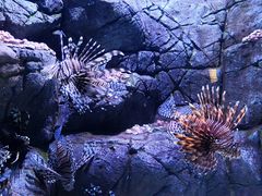 -成都浩海立方海洋公园