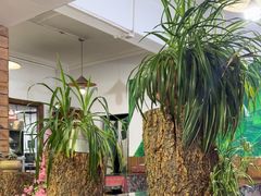 -阿娇魏道(傣味小吃普洱特色店)