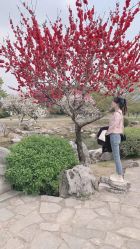 -玄武湖景区-情侣园游乐场