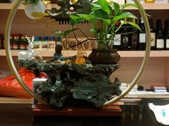 -四季合味椰子鸡(南山大冲店)