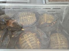 -金丹酱板鸭营业厅(紫缘路店)