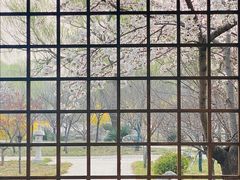 -石家庄市植物园