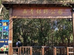 -西青郊野公园