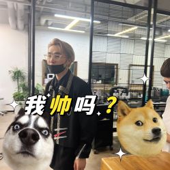 -蚂蚁造型俱乐部