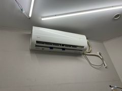 -缪斯琴行英皇小提琴.钢琴.吉他(张江店)
